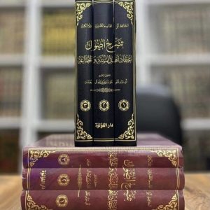 شرح أصول اعتقاد أهل السنة- الللاكائي