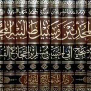 شرح صحيح مسلم للنووي