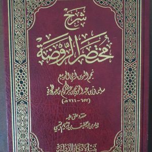 شرح مختصر الروضة