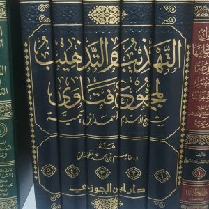 التهذيب والتذهيب لمجموع الفتاوى - ابن تيمية