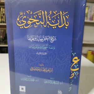 بداية النحوي - إبراهيم حمادة